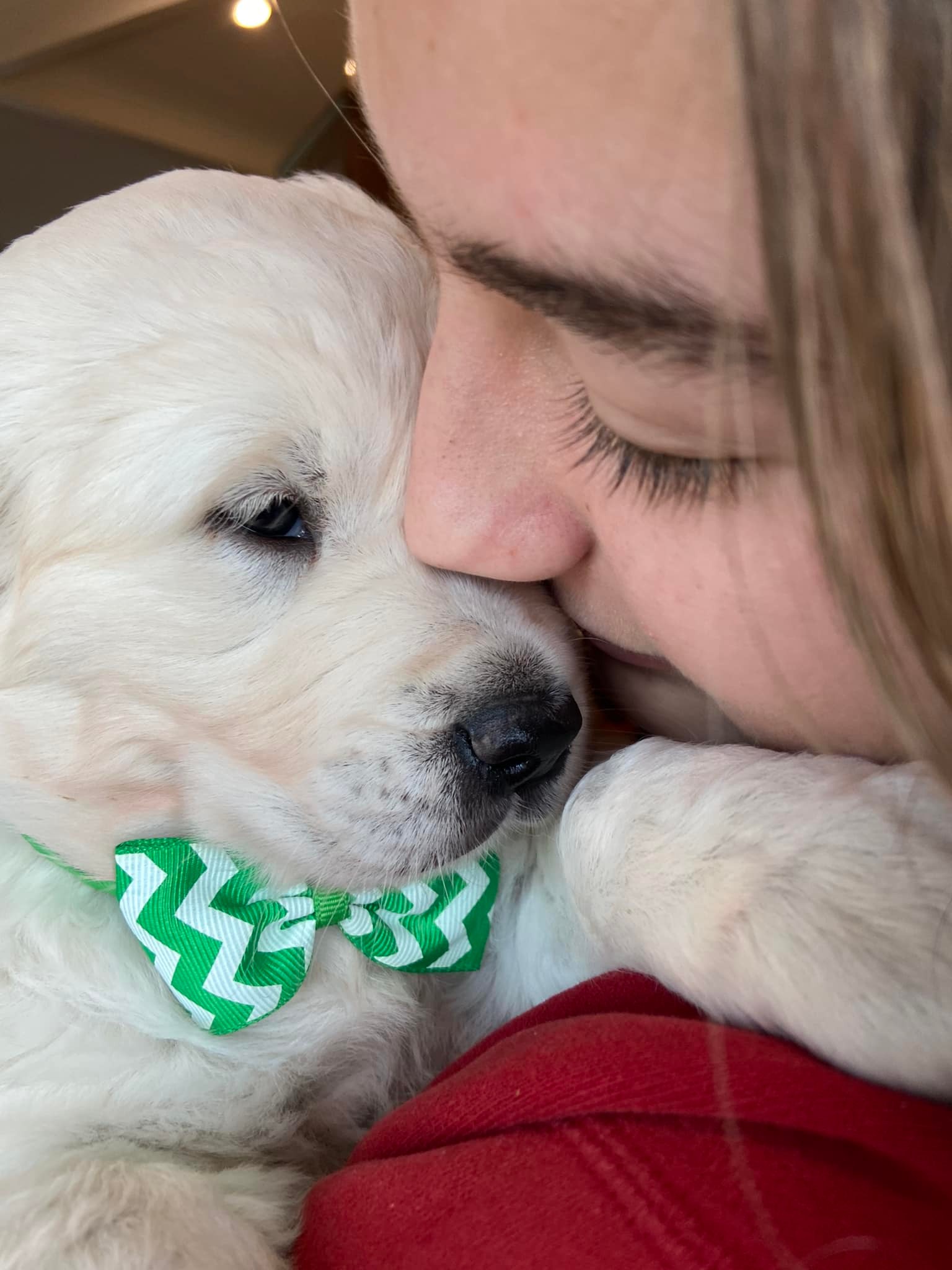 AVAILABLE NOW – 9 weeks old